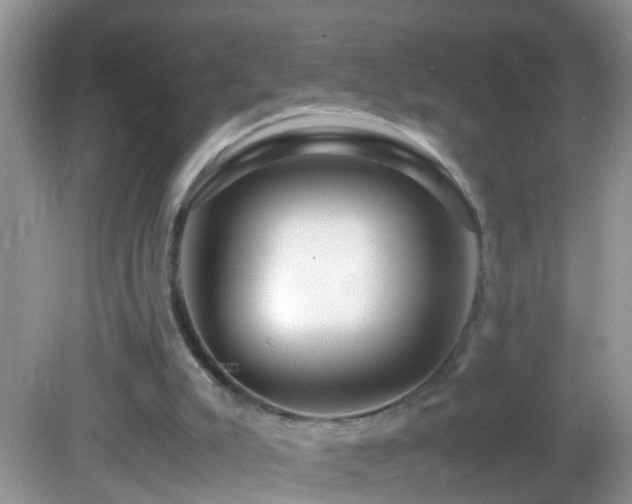 X0000082750007200701261519