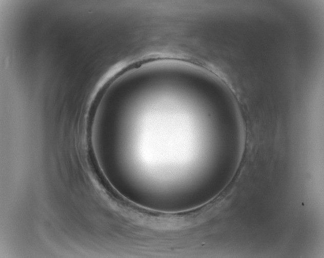 X0000082750008200701261519