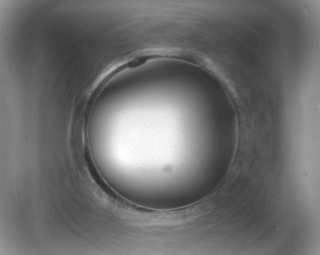 X0000082750011200701261519