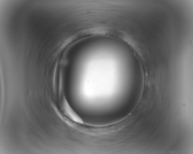 X0000082750013200701261519