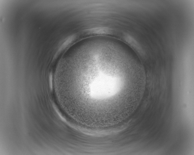 X0000082750014200701261519