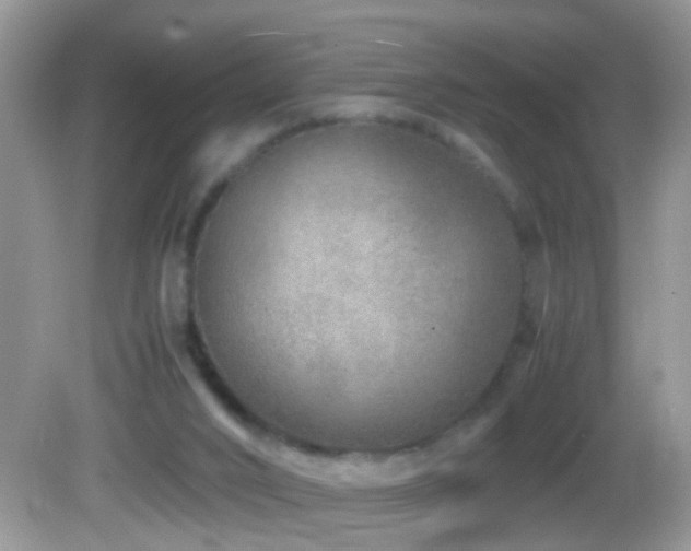 X0000082750016200701261519