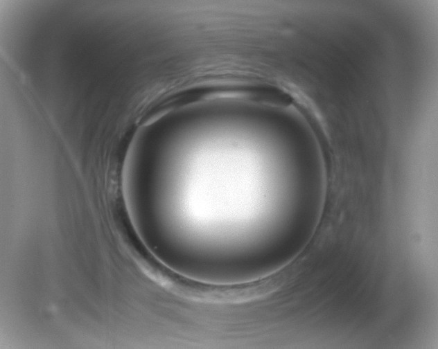 X0000082750017200701261519