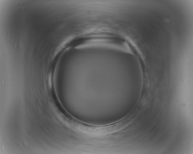 X0000082750019200701261519