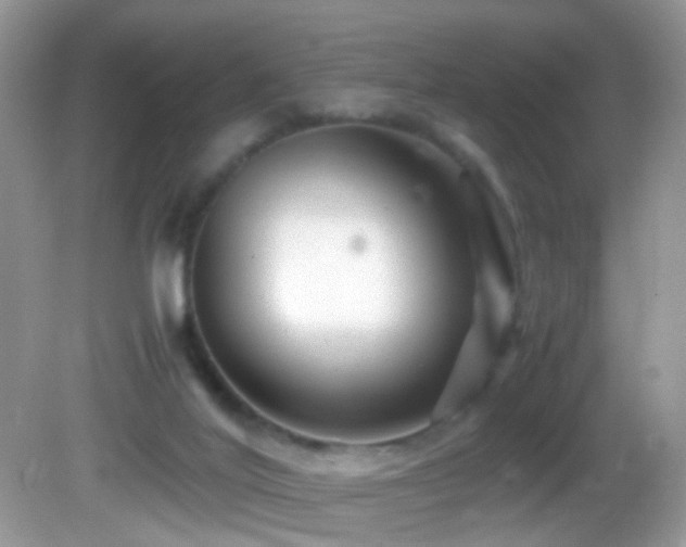 X0000082750020200701261519
