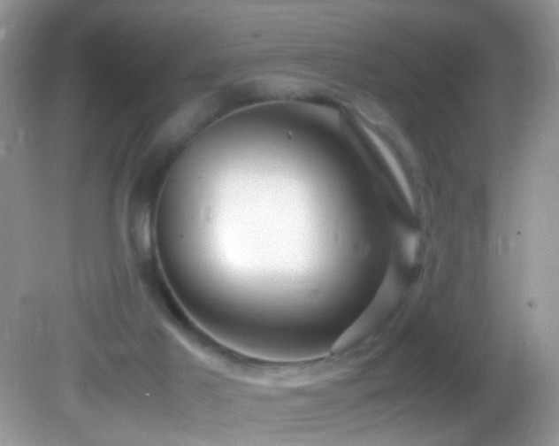 X0000082750021200701261519