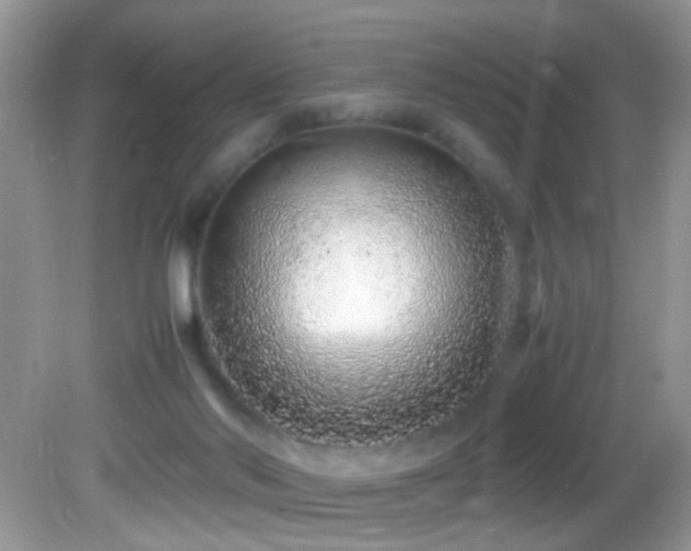X0000082750022200701261519