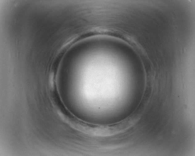 X0000082750024200701261519