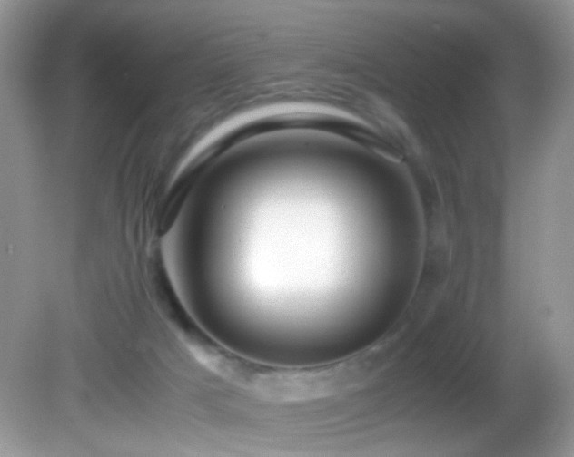 X0000082750025200701261519