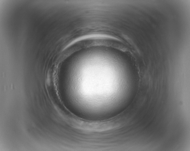 X0000082750026200701261519