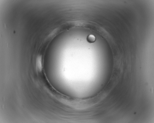 X0000082750028200701261519