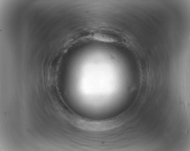 X0000082750030200701261519