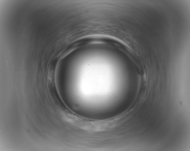X0000082750033200701261518