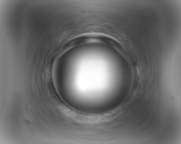 X0000082750037200701261518