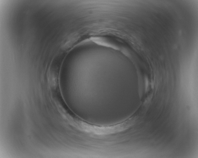 X0000082750039200701261518