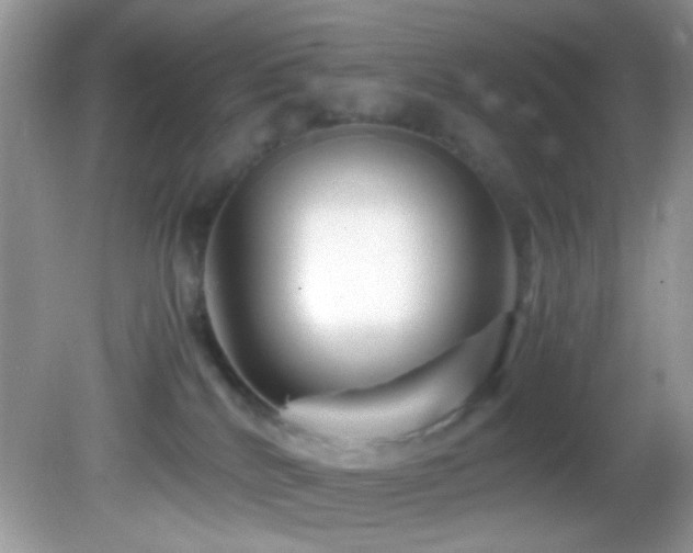 X0000082750040200701261518