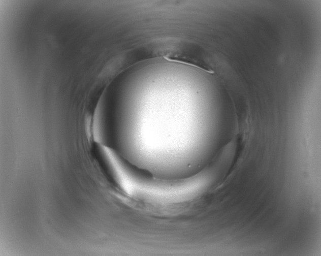 X0000082750041200701261518
