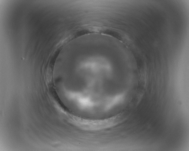 X0000082750043200701261518