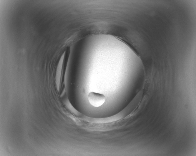 X0000082750045200701261518