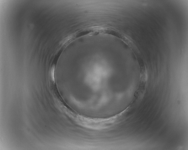 X0000082750047200701261518