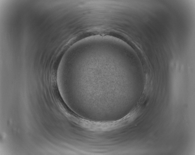 X0000082750048200701261518