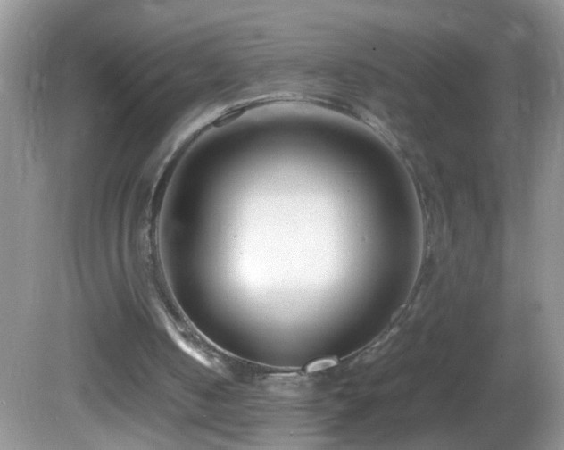 X0000082750050200701261517