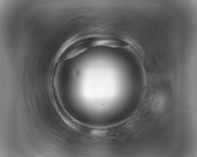X0000082750051200701261517