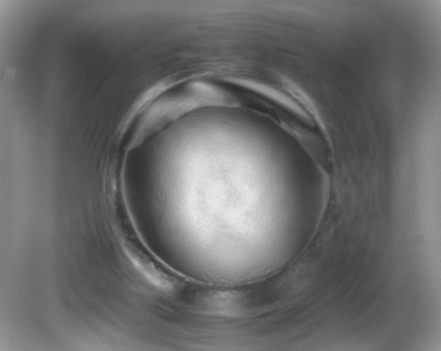 X0000082750059200701261518