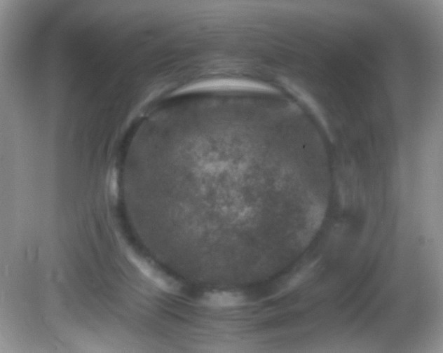 X0000082750067200701261518