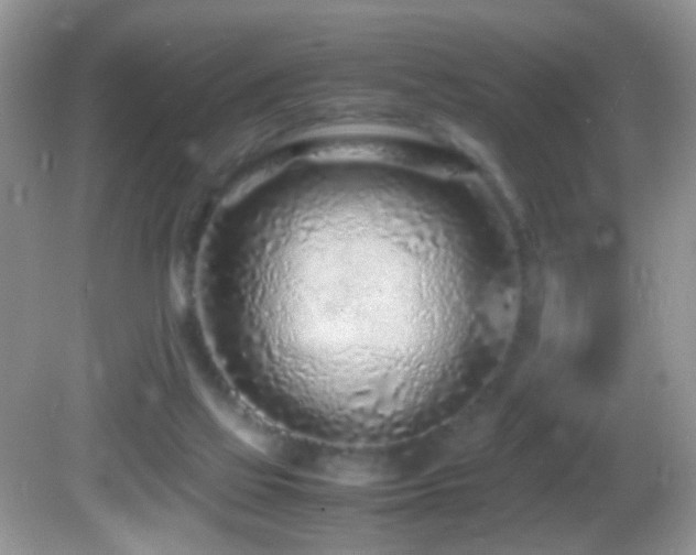 X0000082750069200701261518