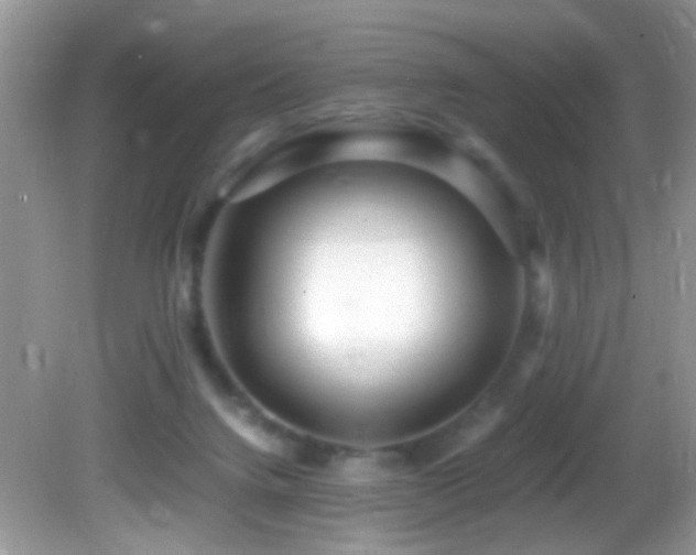 X0000082750072200701261518