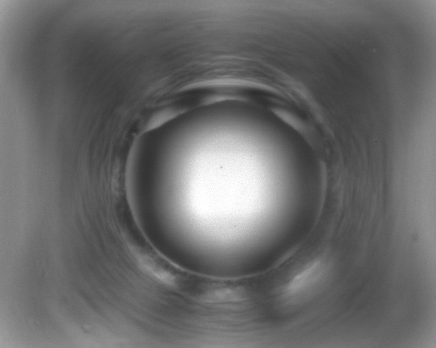 X0000082750073200701261518