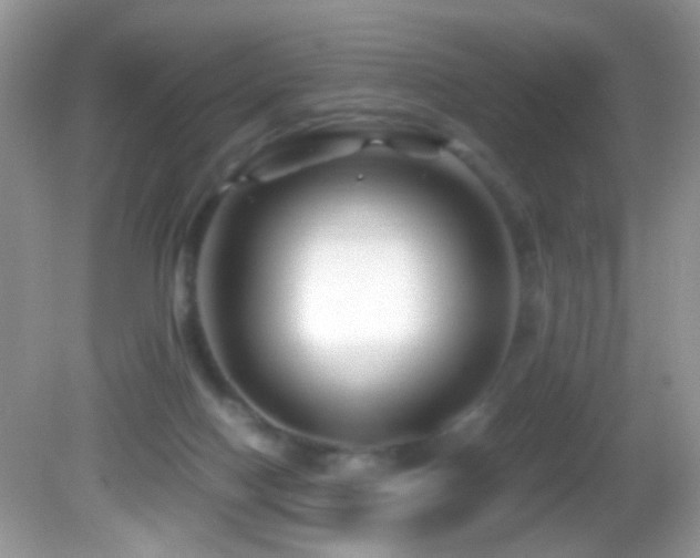 X0000082750074200701261518