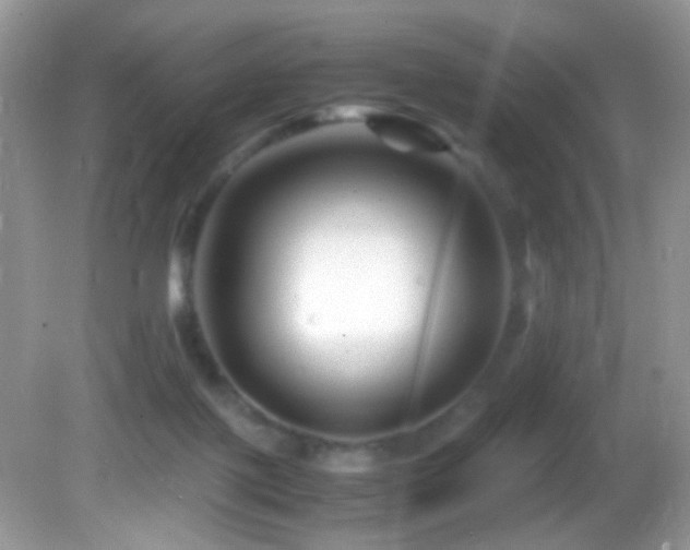 X0000082750075200701261518