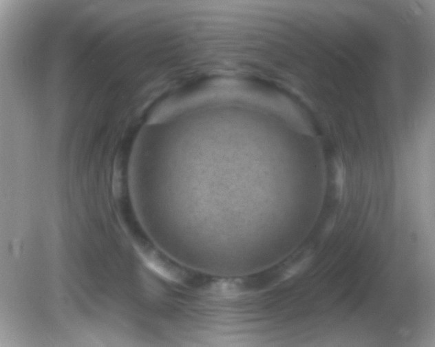 X0000082750080200701261518
