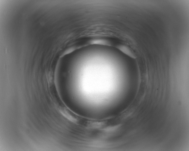 X0000082750081200701261518