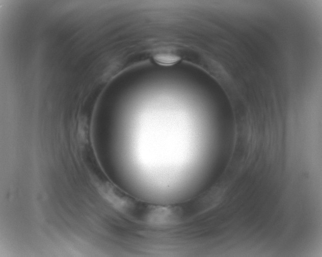 X0000082750083200701261518