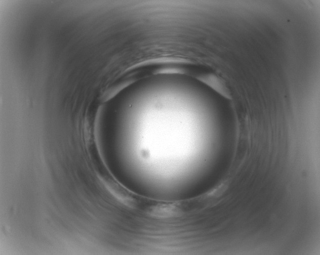X0000082750086200701261518