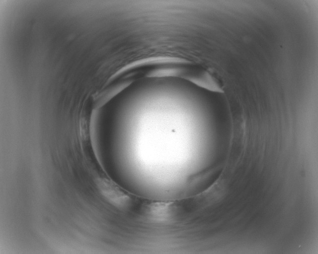 X0000082750090200701261518