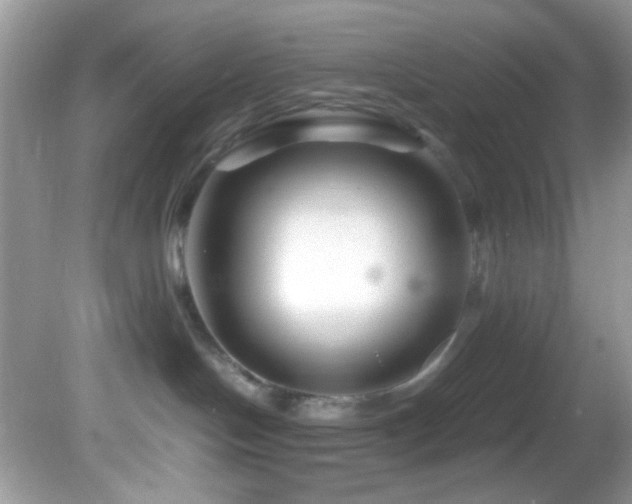 X0000082750094200701261518