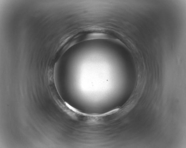 X0000082750096200701261518