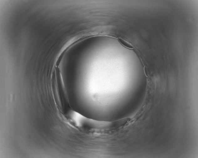 X0000082750100200701261517