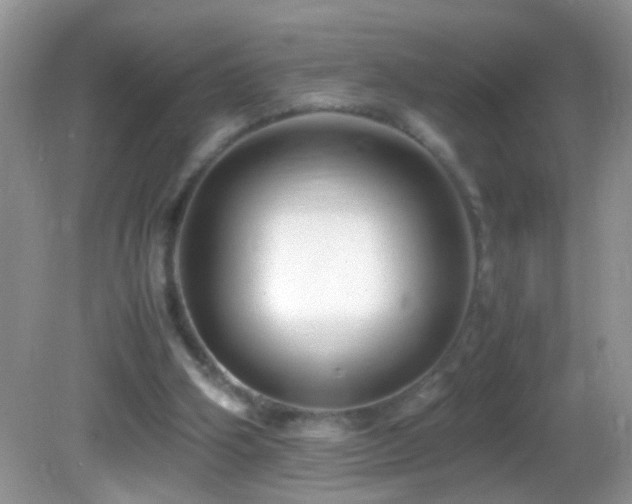 X0000082750106200701261517