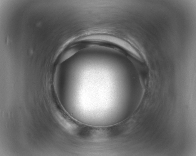 X0000082750107200701261517