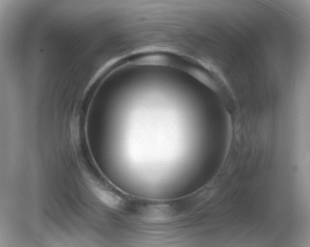 X0000082750108200701261517