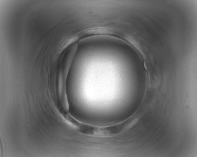 X0000082750109200701261517