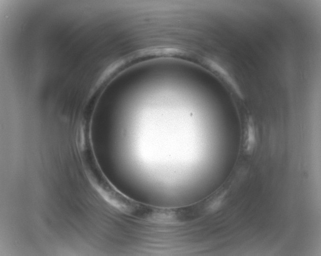 X0000082750110200701261517