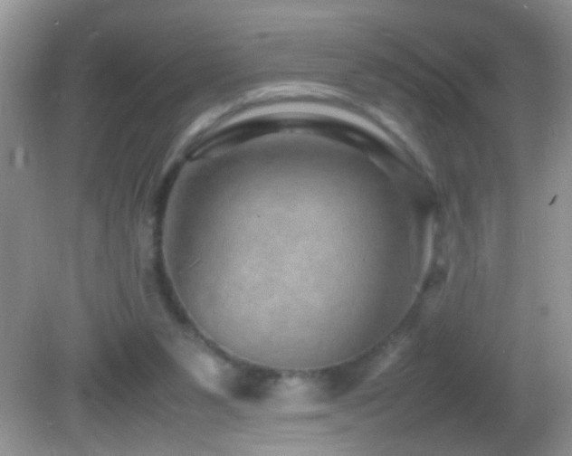 X0000082750111200701261517