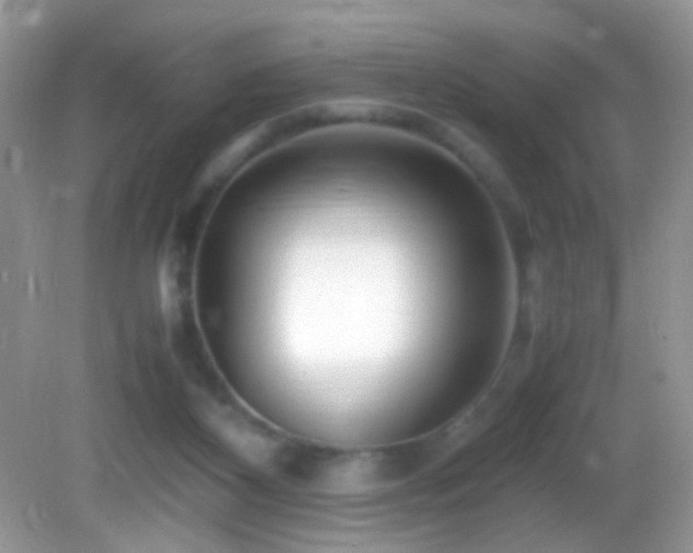 X0000082750116200701261517