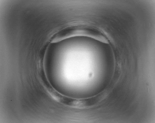 X0000082750117200701261517